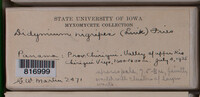 Image Associated With the Occurence